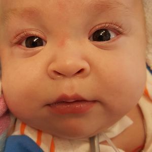 Meet your Posher, Marilyn